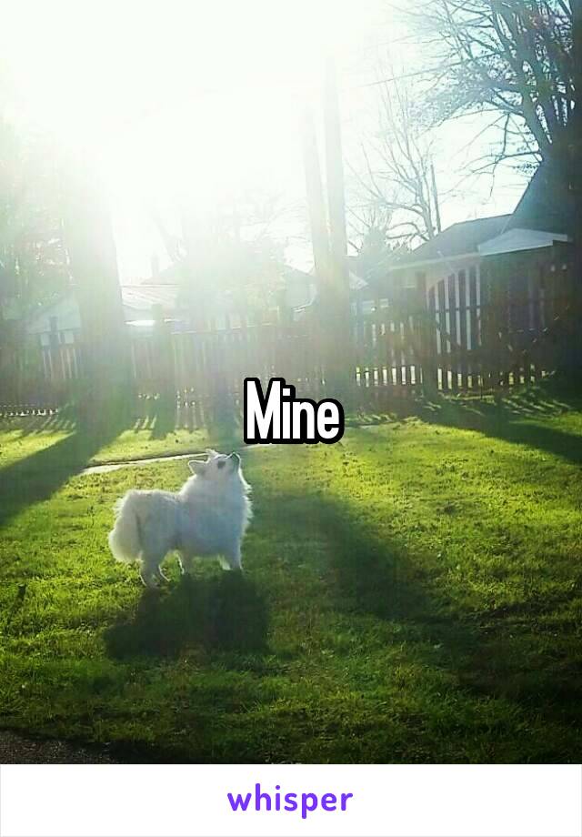 Mine