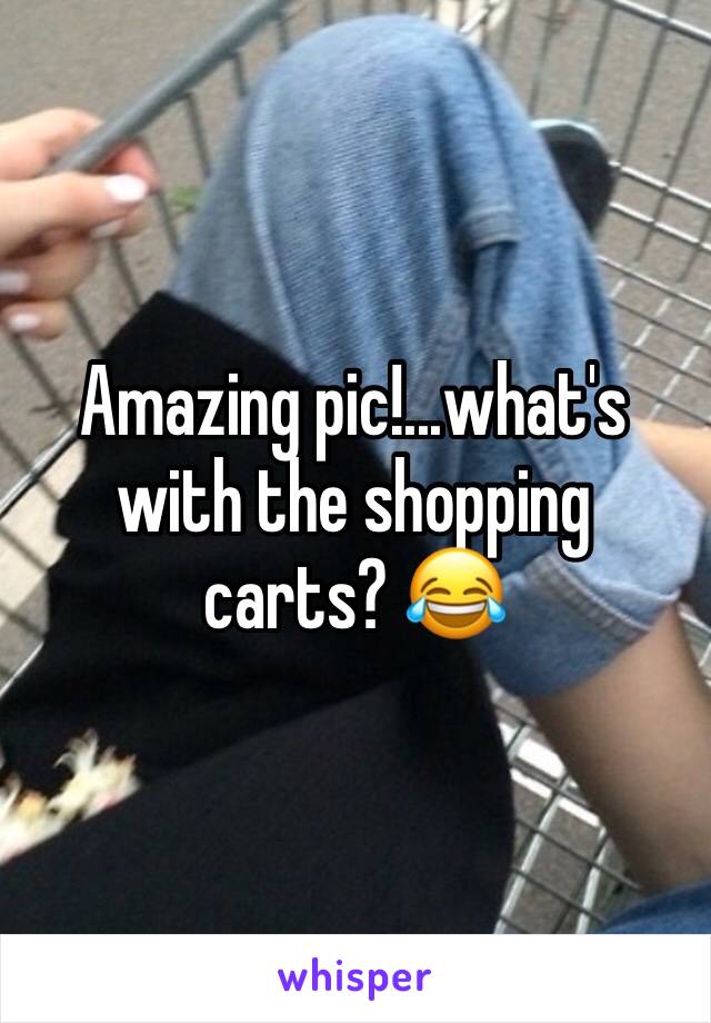 Amazing pic!...what's with the shopping carts? 😂