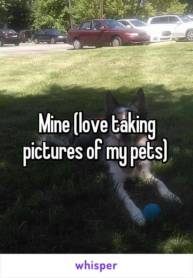 Mine (love taking pictures of my pets) 