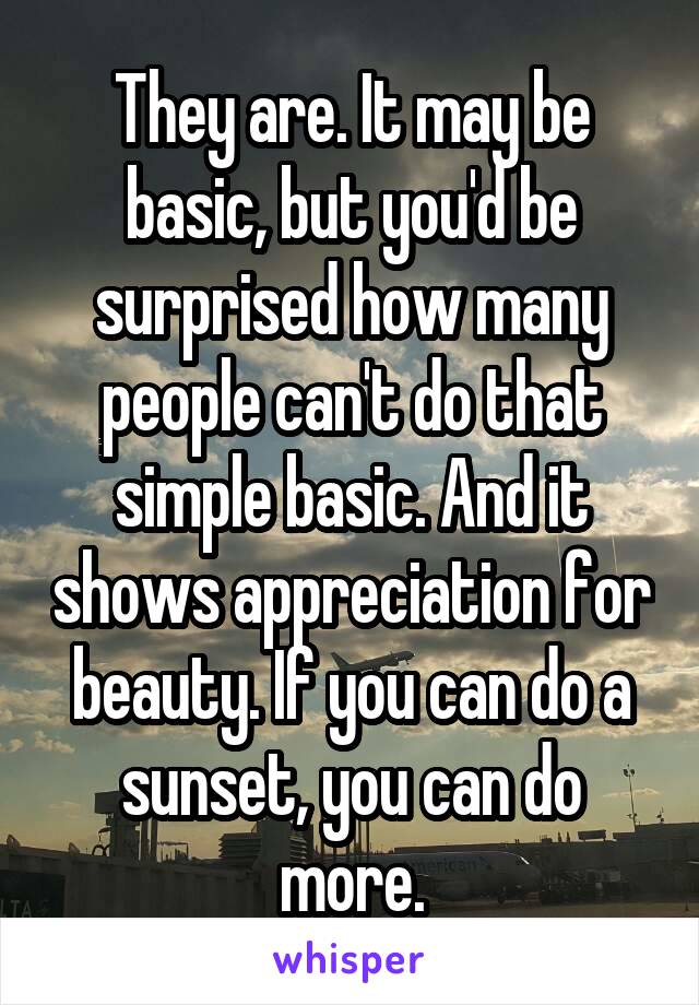 They are. It may be basic, but you'd be surprised how many people can't do that simple basic. And it shows appreciation for beauty. If you can do a sunset, you can do more.