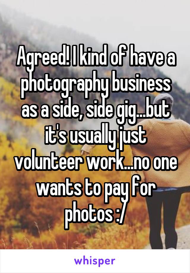 Agreed! I kind of have a photography business as a side, side gig...but it's usually just volunteer work...no one wants to pay for photos :/