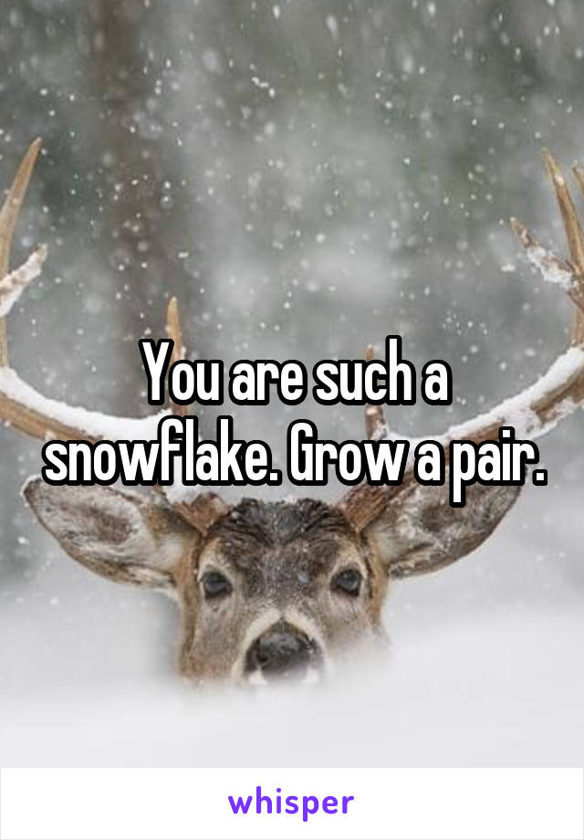 You are such a snowflake. Grow a pair.