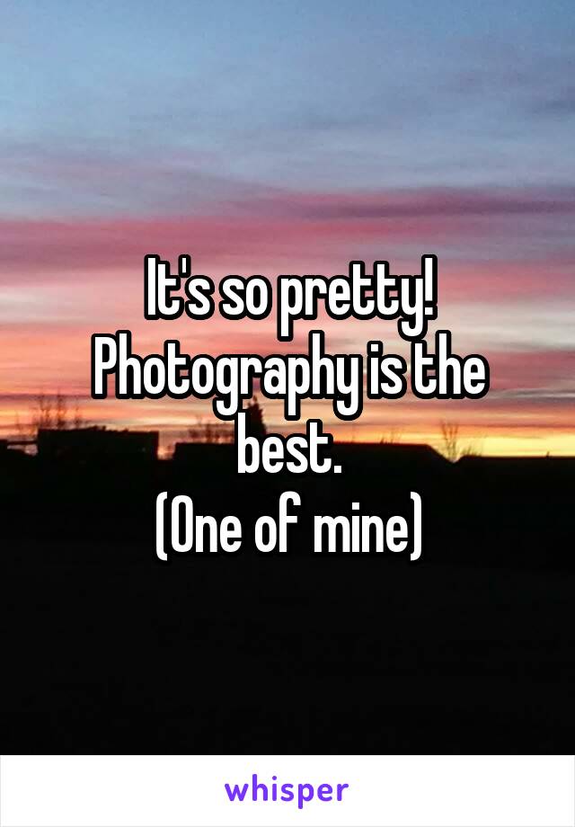 It's so pretty!
Photography is the best.
(One of mine)