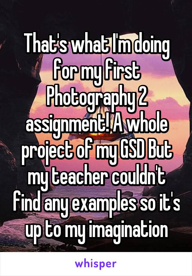 That's what I'm doing for my first Photography 2 assignment! A whole project of my GSD But my teacher couldn't find any examples so it's up to my imagination