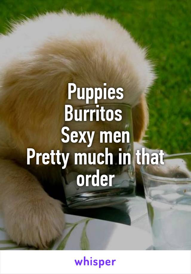 Puppies
Burritos 
Sexy men
Pretty much in that order