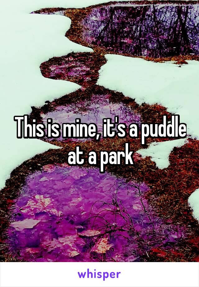 This is mine, it's a puddle at a park