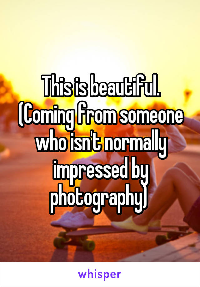 This is beautiful. (Coming from someone who isn't normally impressed by photography) 