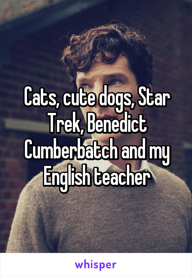 Cats, cute dogs, Star Trek, Benedict Cumberbatch and my English teacher