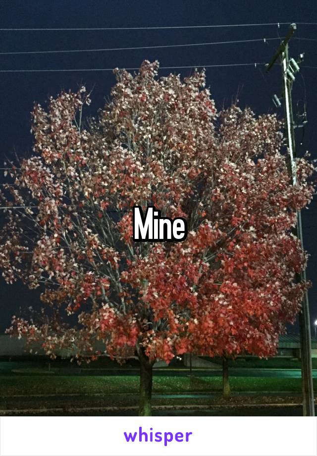 Mine