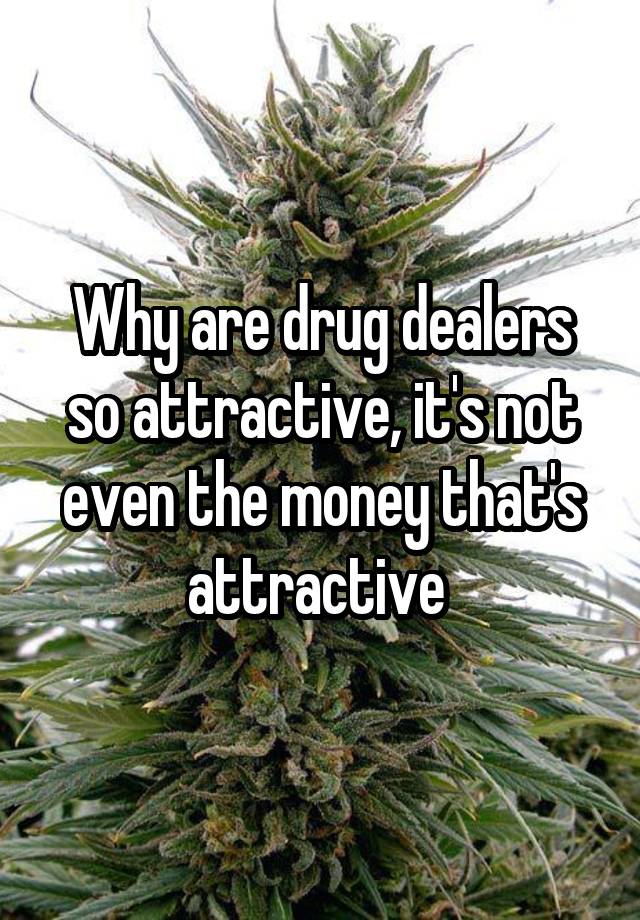 why-are-drug-dealers-so-attractive-it-s-not-even-the-money-that-s