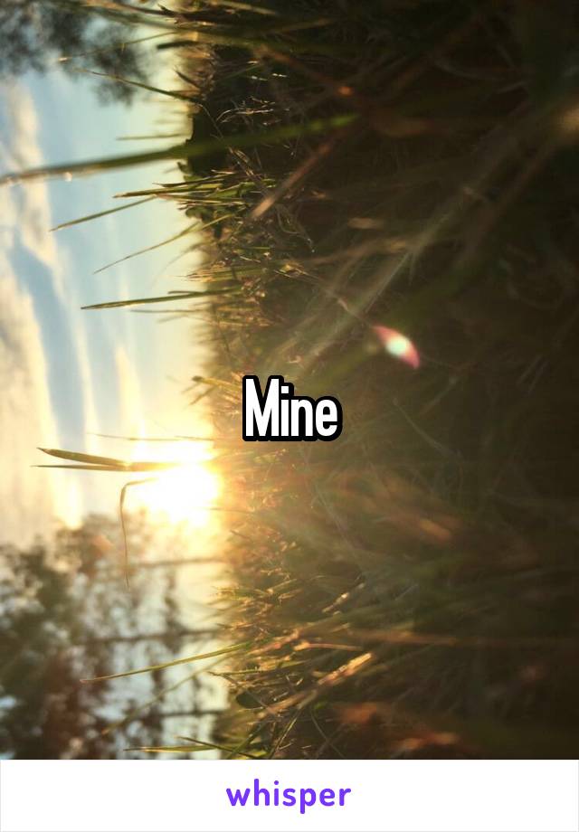  Mine 