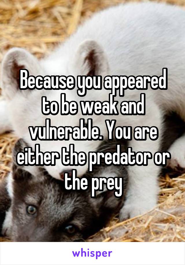 Because you appeared to be weak and vulnerable. You are either the predator or the prey
