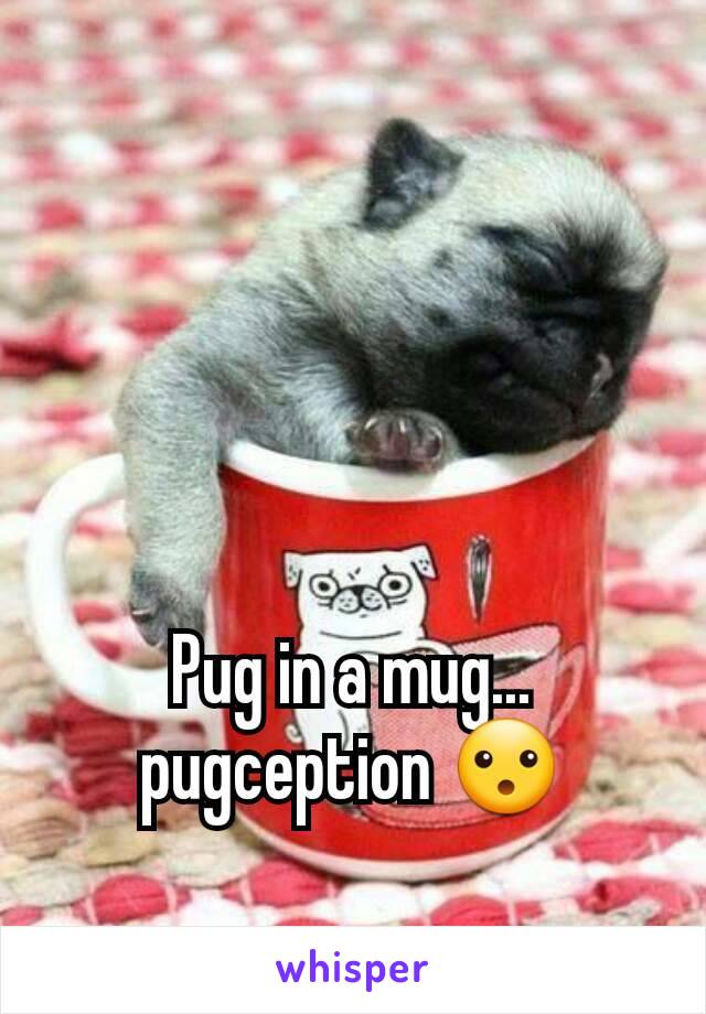 Pug in a mug... pugception 😮