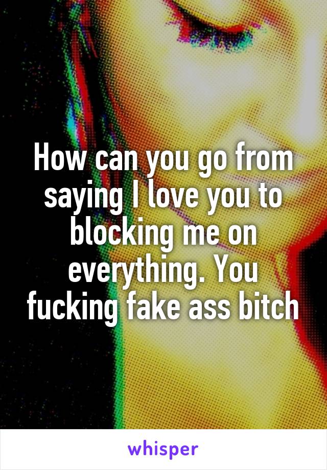 How can you go from saying I love you to blocking me on everything. You fucking fake ass bitch