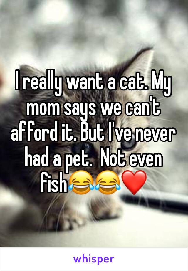 I really want a cat. My mom says we can't afford it. But I've never had a pet.  Not even fish😂😂❤️