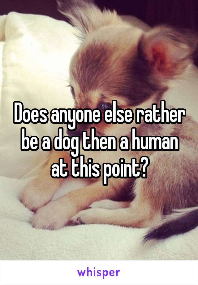 Does anyone else rather be a dog then a human at this point?