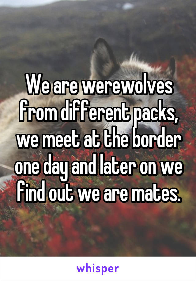 We are werewolves from different packs, we meet at the border one day and later on we find out we are mates.