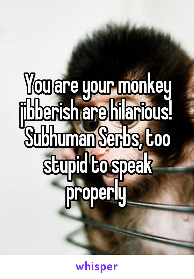 You are your monkey jibberish are hilarious! 
Subhuman Serbs, too stupid to speak properly 