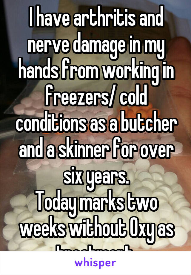 I have arthritis and nerve damage in my hands from working in freezers/ cold conditions as a butcher and a skinner for over six years.
Today marks two weeks without Oxy as treatment.