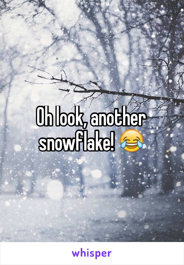 Oh look, another snowflake! 😂