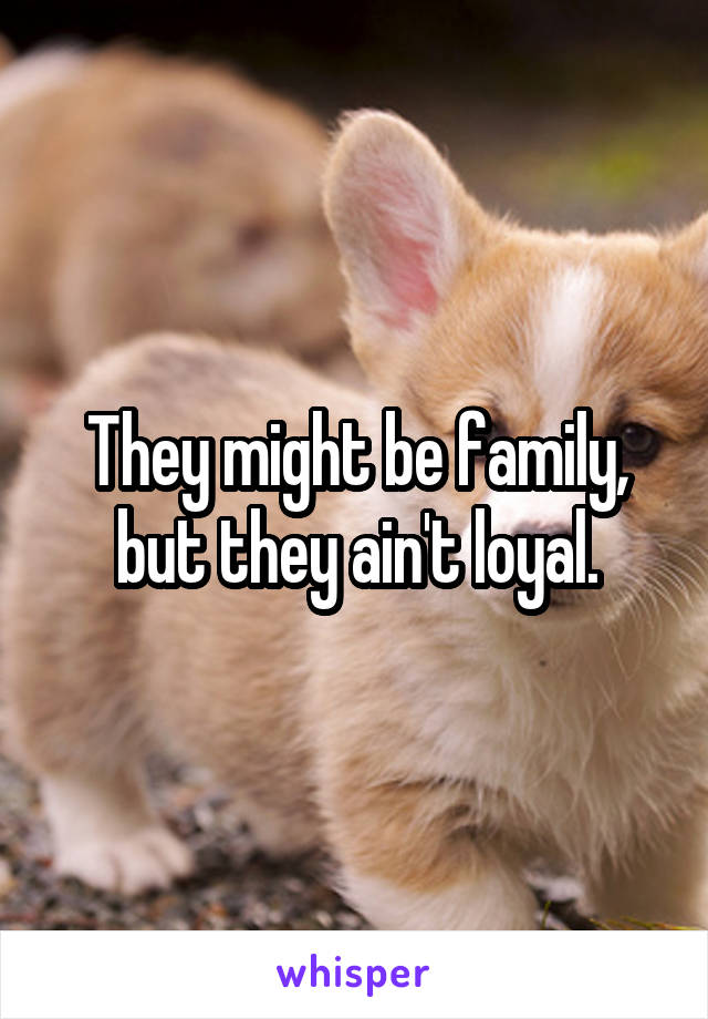 They might be family, but they ain't loyal.