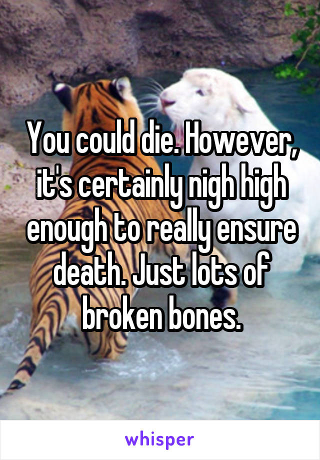 You could die. However, it's certainly nigh high enough to really ensure death. Just lots of broken bones.
