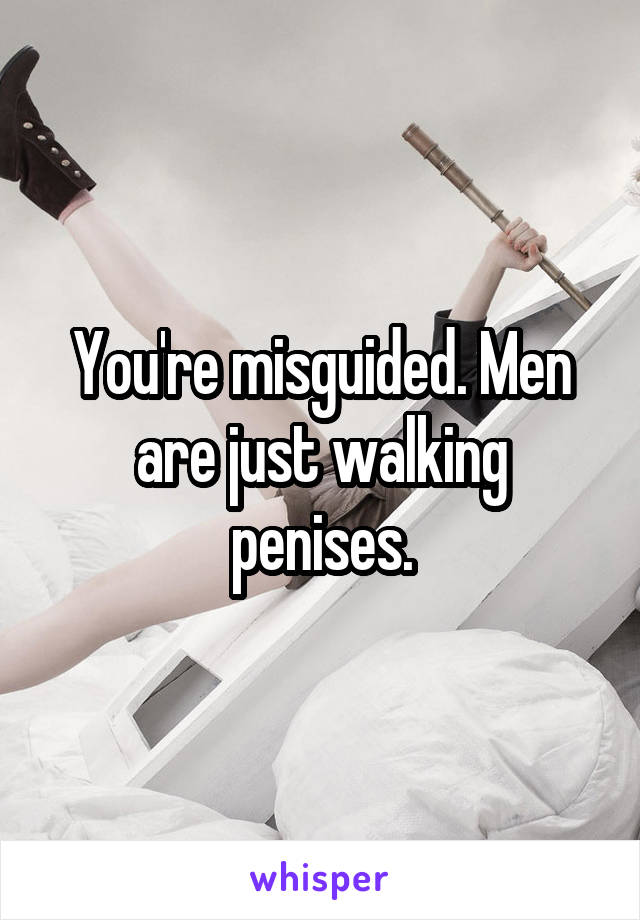 You're misguided. Men are just walking penises.