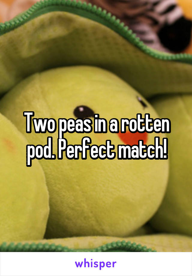 Two peas in a rotten pod. Perfect match!