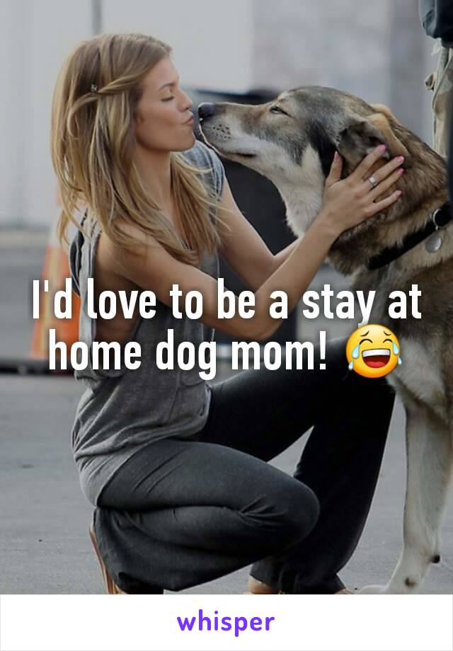 I'd love to be a stay at home dog mom! 😂