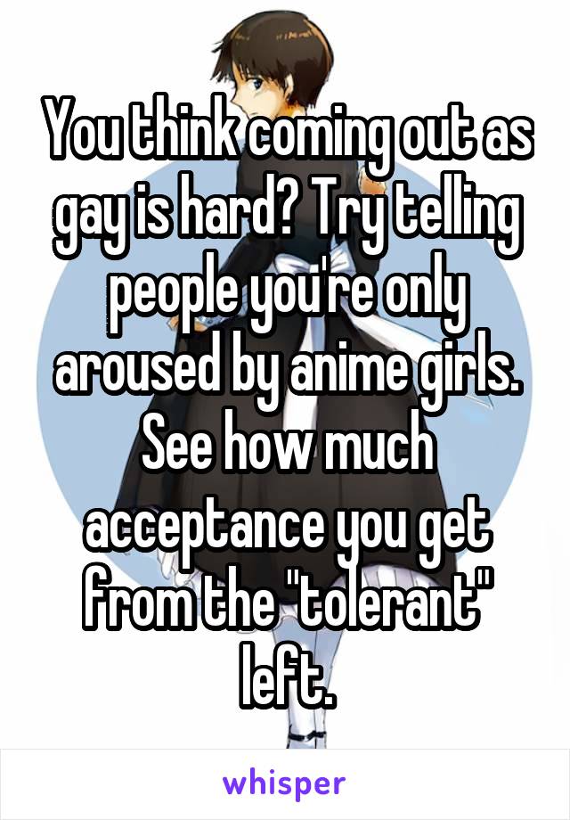 You think coming out as gay is hard? Try telling people you're only aroused by anime girls. See how much acceptance you get from the "tolerant" left.