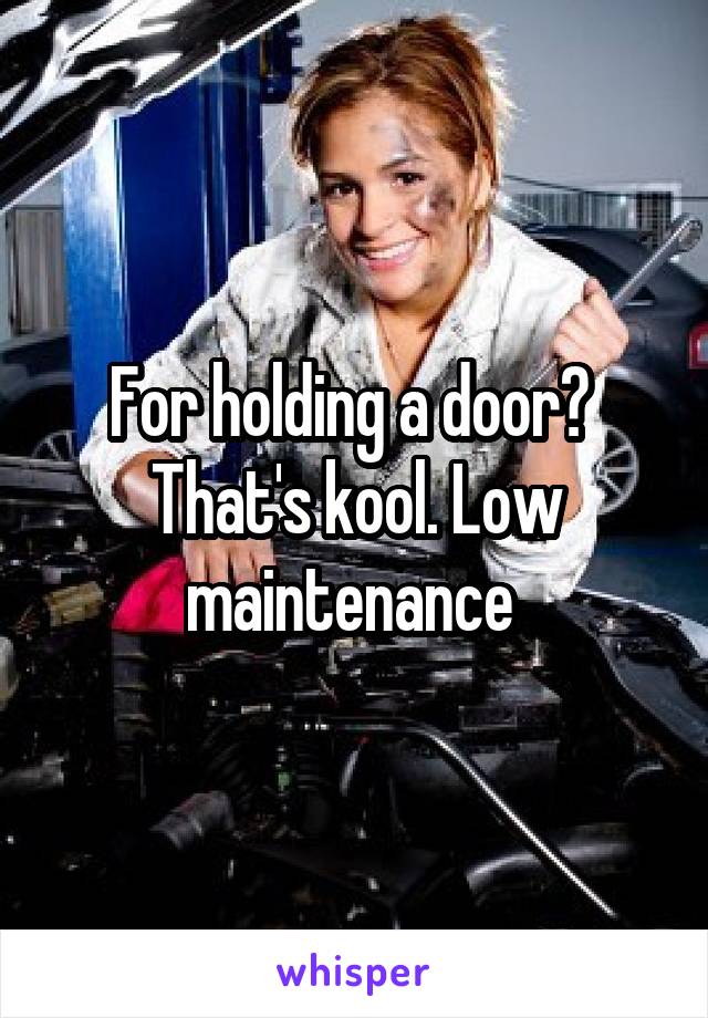 For holding a door?  That's kool. Low maintenance 