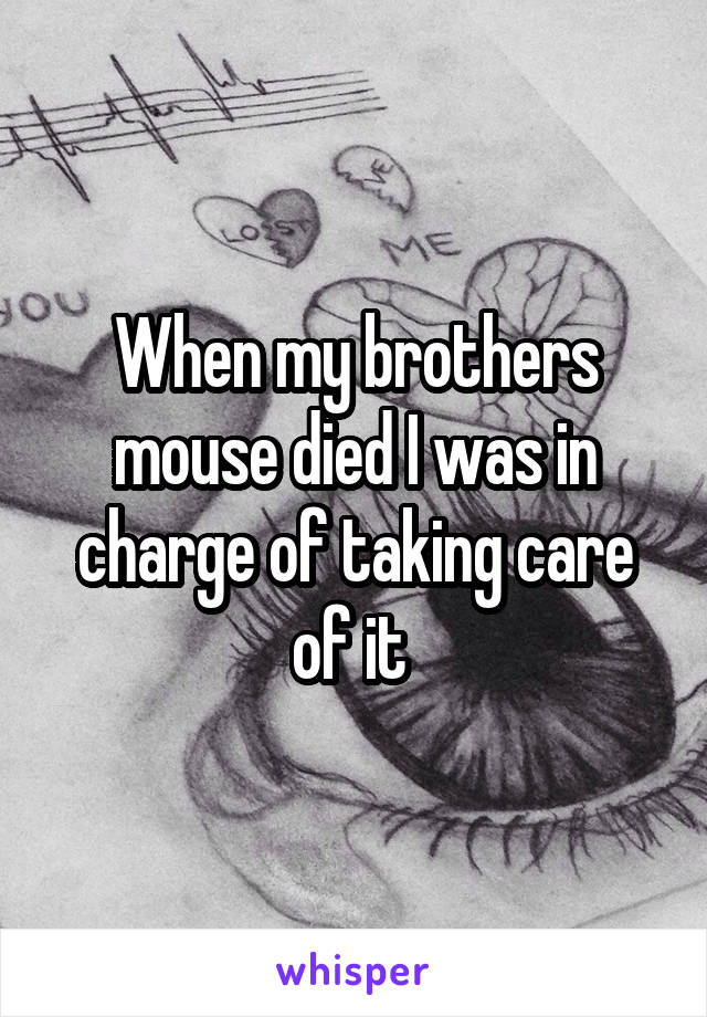 When my brothers mouse died I was in charge of taking care of it 