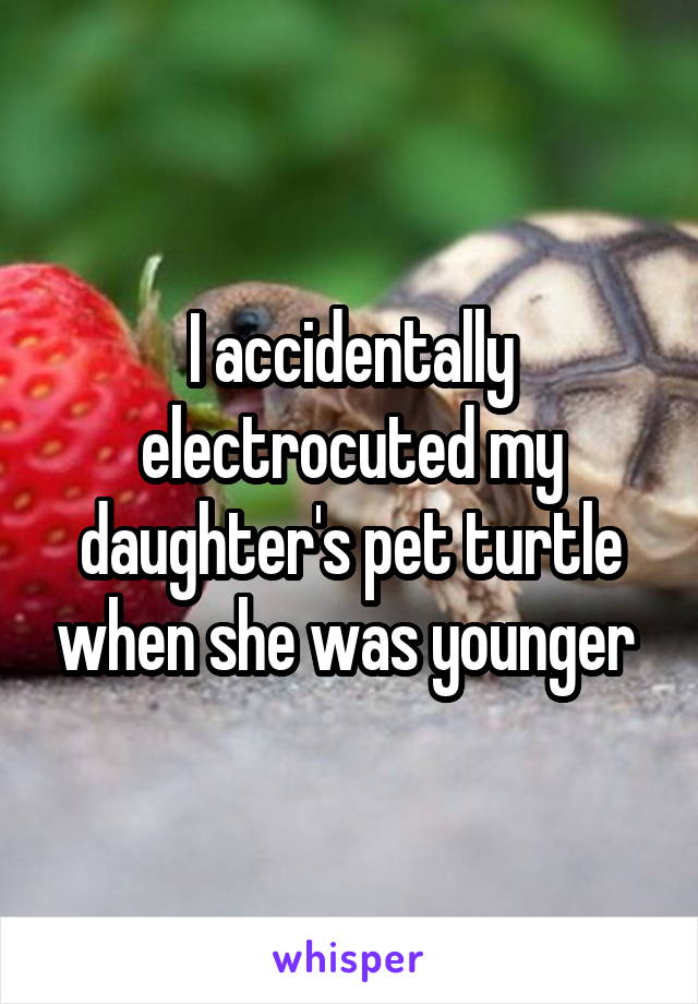 I accidentally electrocuted my daughter's pet turtle when she was younger 