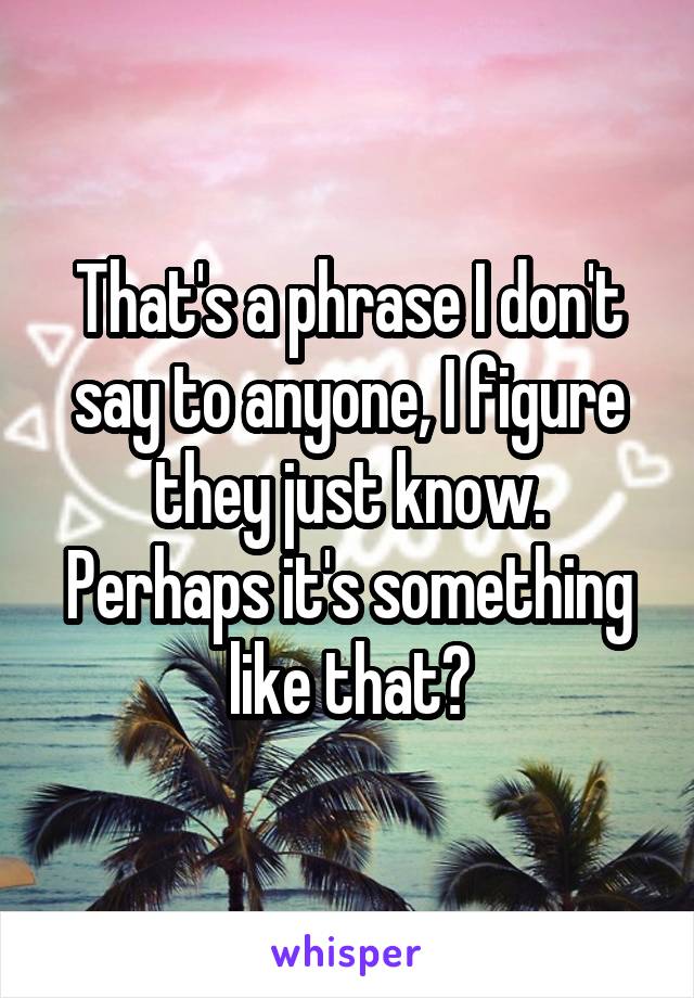 That's a phrase I don't say to anyone, I figure they just know. Perhaps it's something like that?