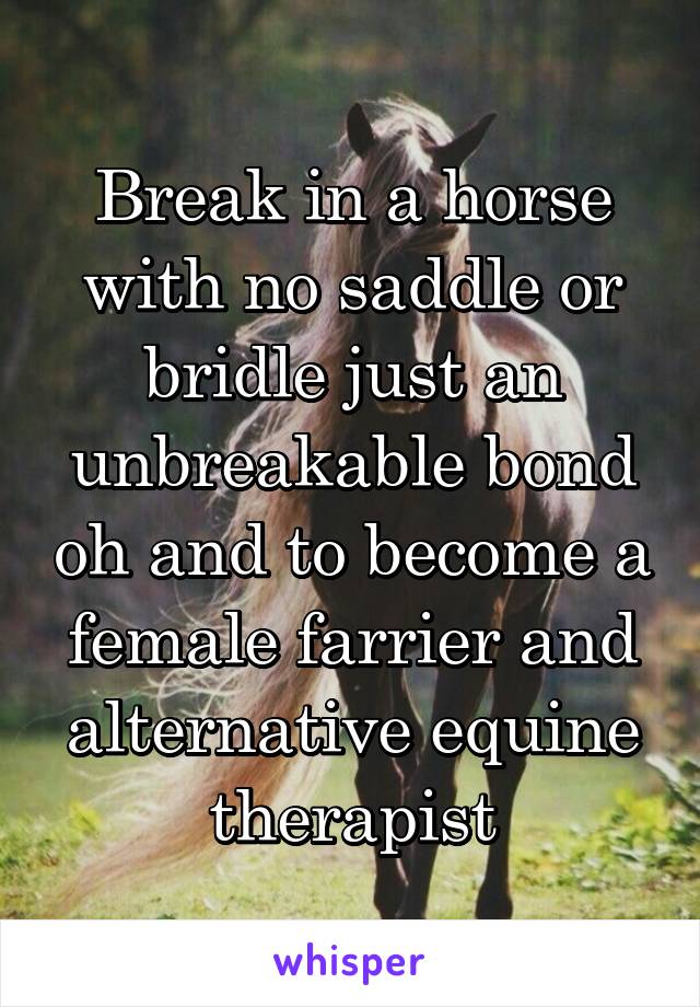 Break in a horse with no saddle or bridle just an unbreakable bond oh and to become a female farrier and alternative equine therapist