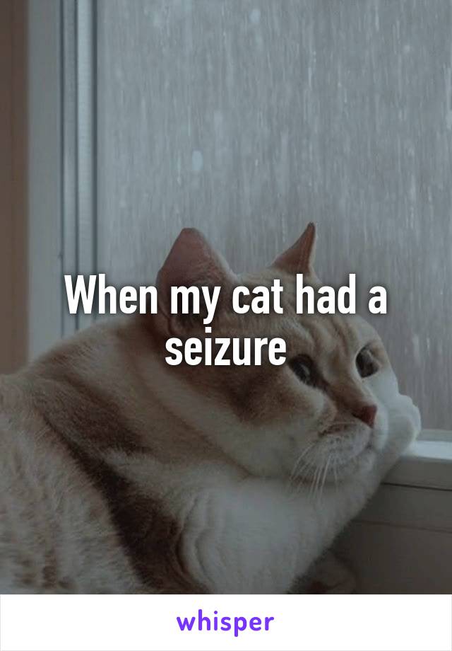 When my cat had a seizure