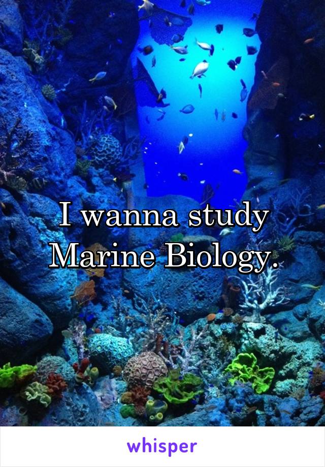 I wanna study Marine Biology.