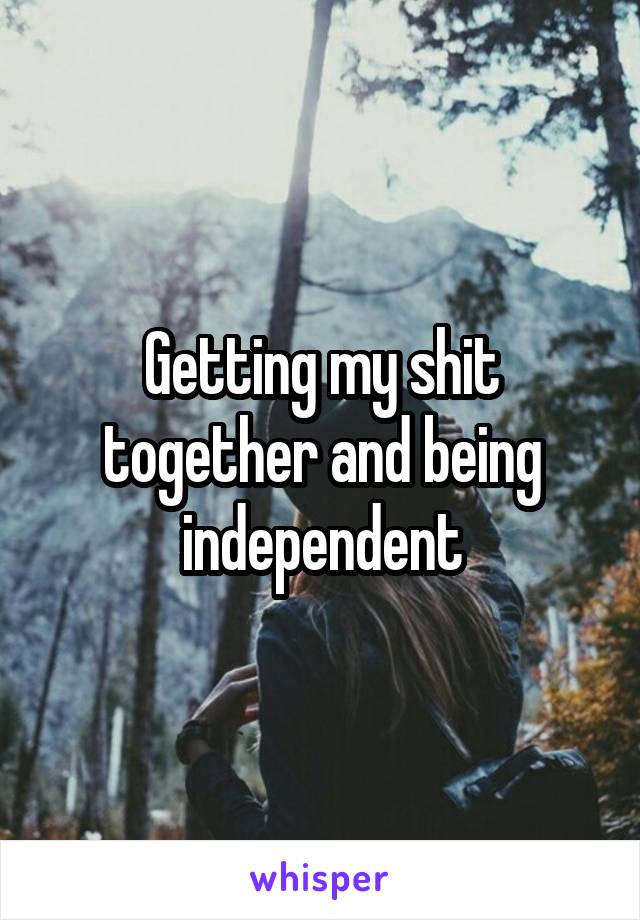 Getting my shit together and being independent