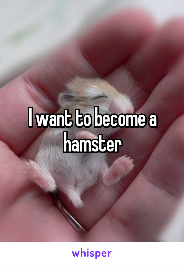 I want to become a hamster