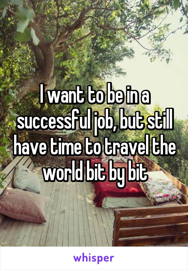 I want to be in a successful job, but still have time to travel the world bit by bit