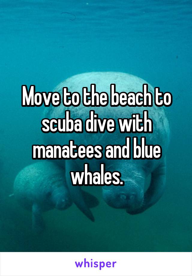 Move to the beach to scuba dive with manatees and blue whales.