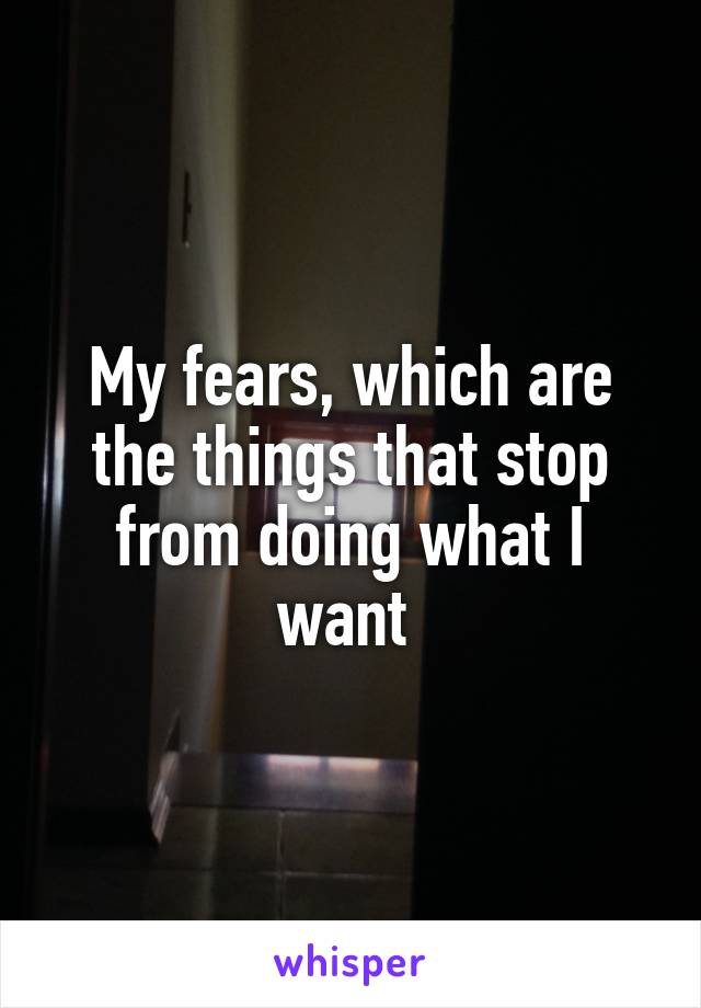 My fears, which are the things that stop from doing what I want 