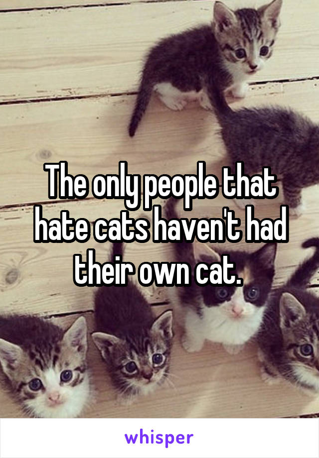 The only people that hate cats haven't had their own cat. 