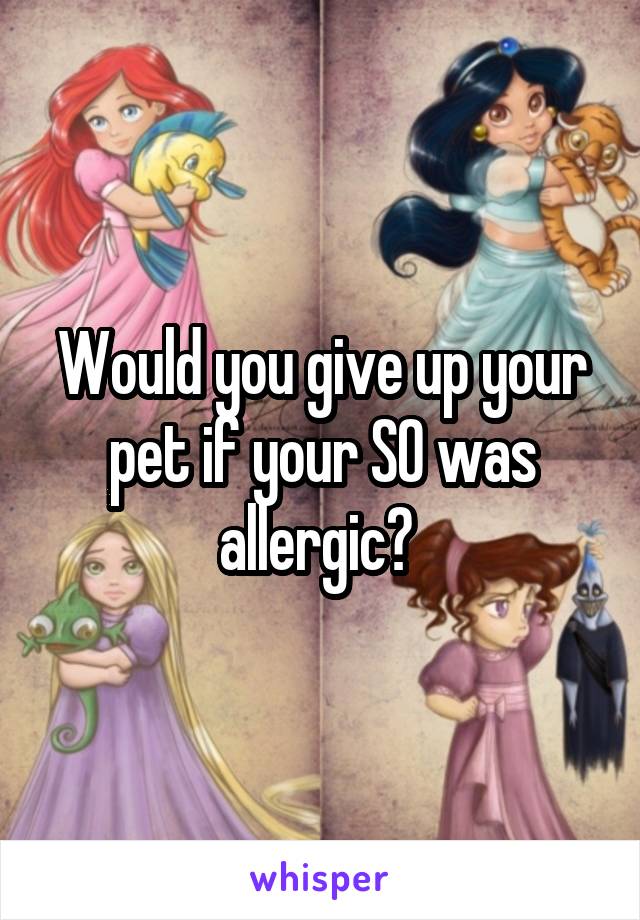 Would you give up your pet if your SO was allergic? 