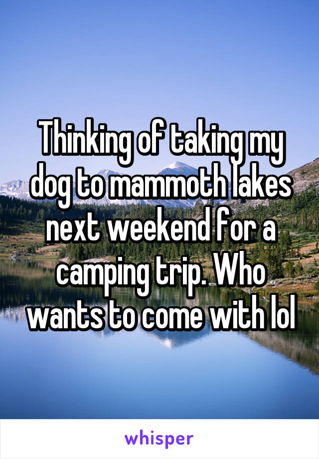 Thinking of taking my dog to mammoth lakes next weekend for a camping trip. Who wants to come with lol