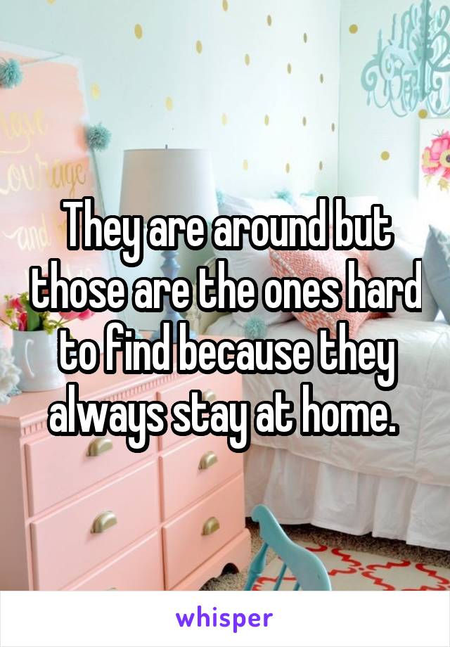 They are around but those are the ones hard to find because they always stay at home. 