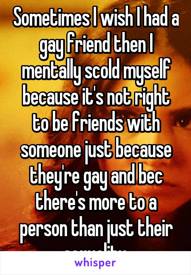 Sometimes I wish I had a gay friend then I mentally scold myself because it's not right to be friends with someone just because they're gay and bec there's more to a person than just their sexuality.