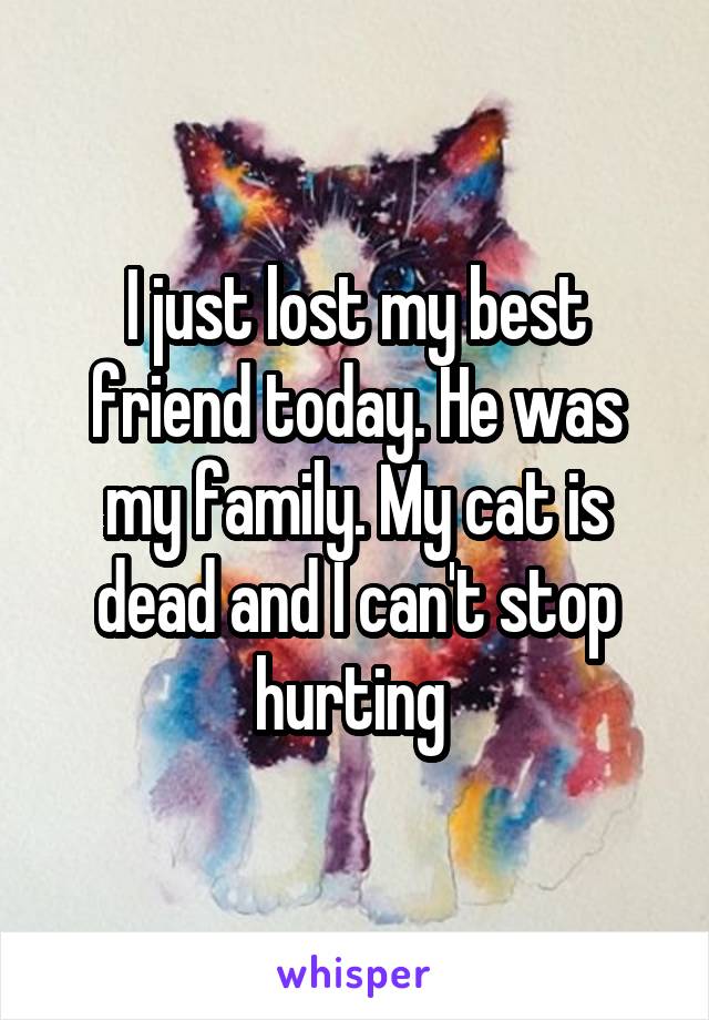 I just lost my best friend today. He was my family. My cat is dead and I can't stop hurting 