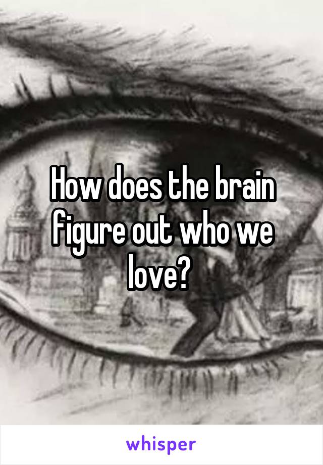 How does the brain figure out who we love? 