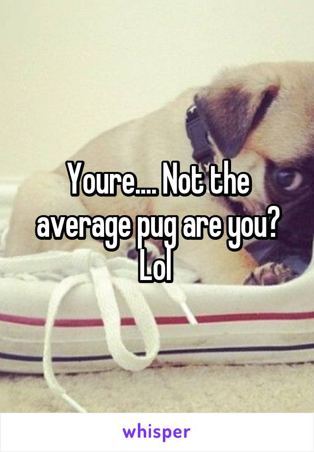 Youre.... Not the average pug are you? Lol 